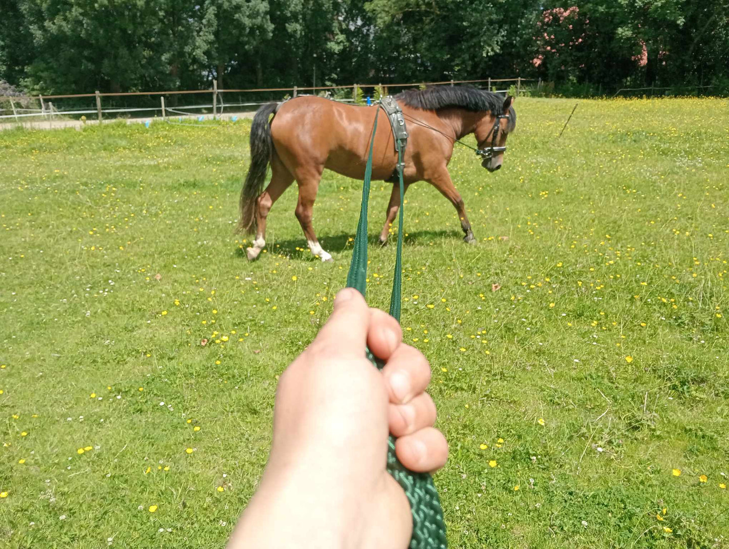 Dubbele longeerlijn - plat smal touw