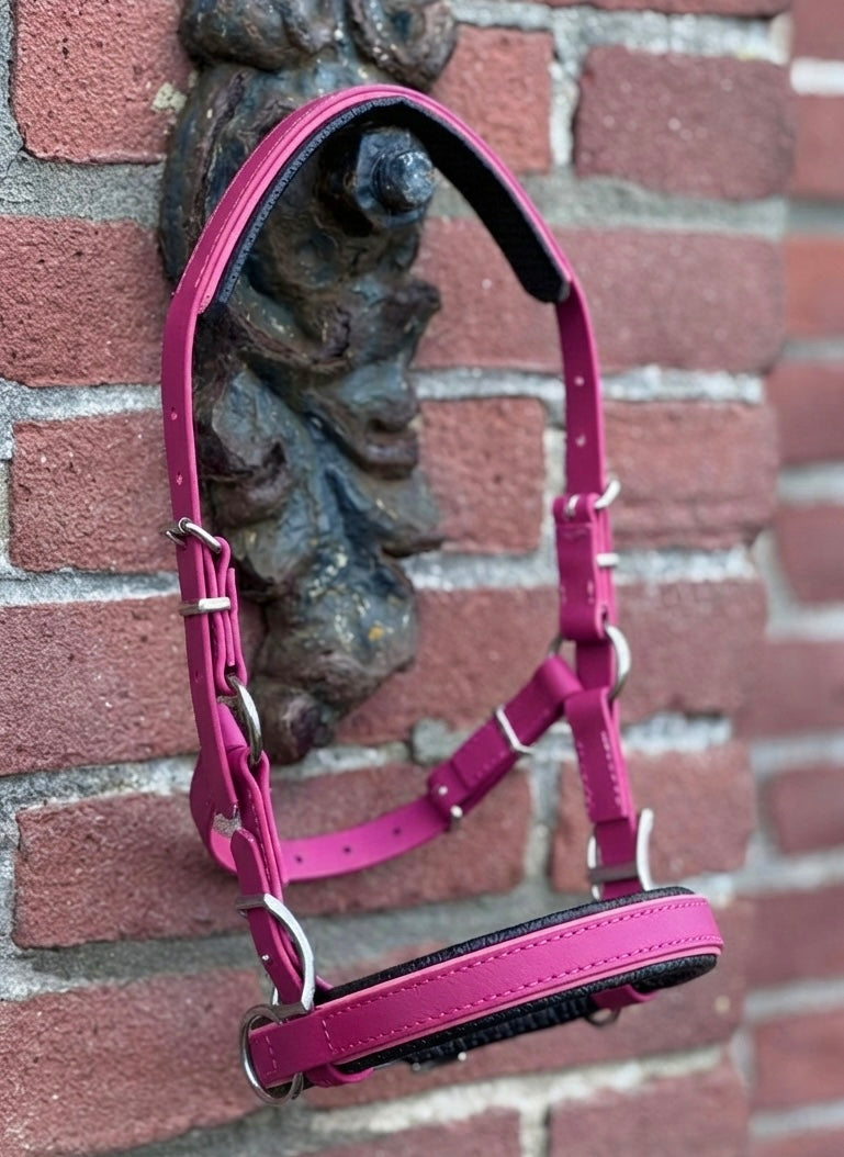 Biothane® Sidepull "Two Tone"