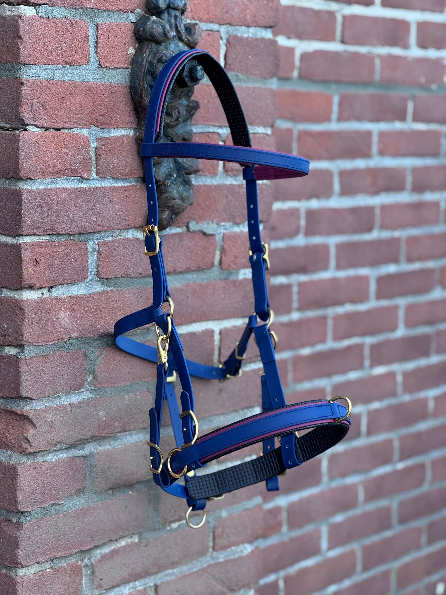 Biothane® Kaptoom Keevan 19mm