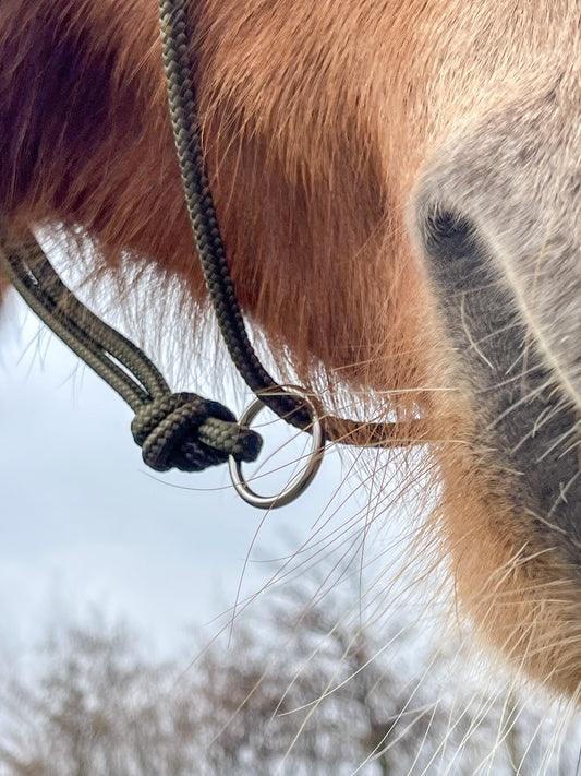 Longeertouwhalster met ring