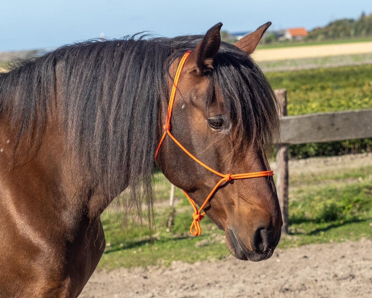 Touwhalster met fiadorknoop