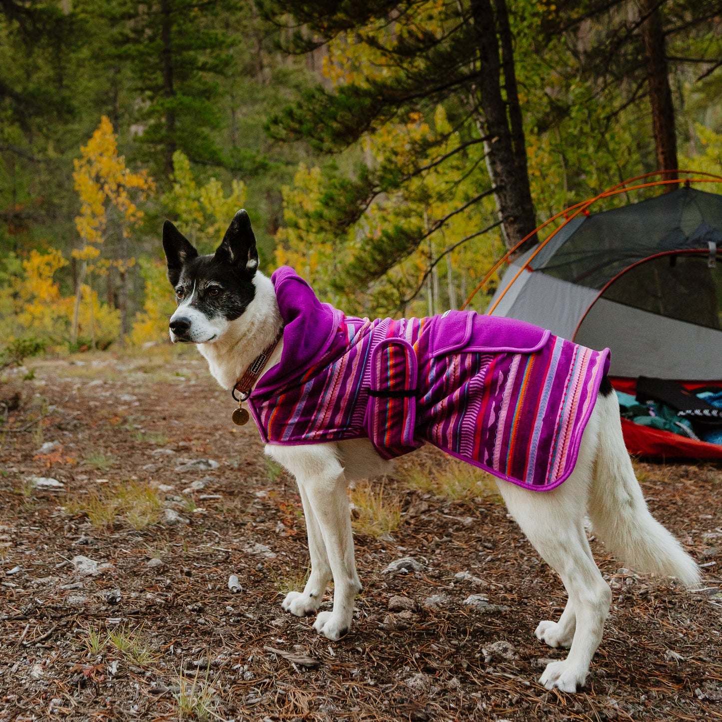 Wilderdog Dawn Fleece Jacket