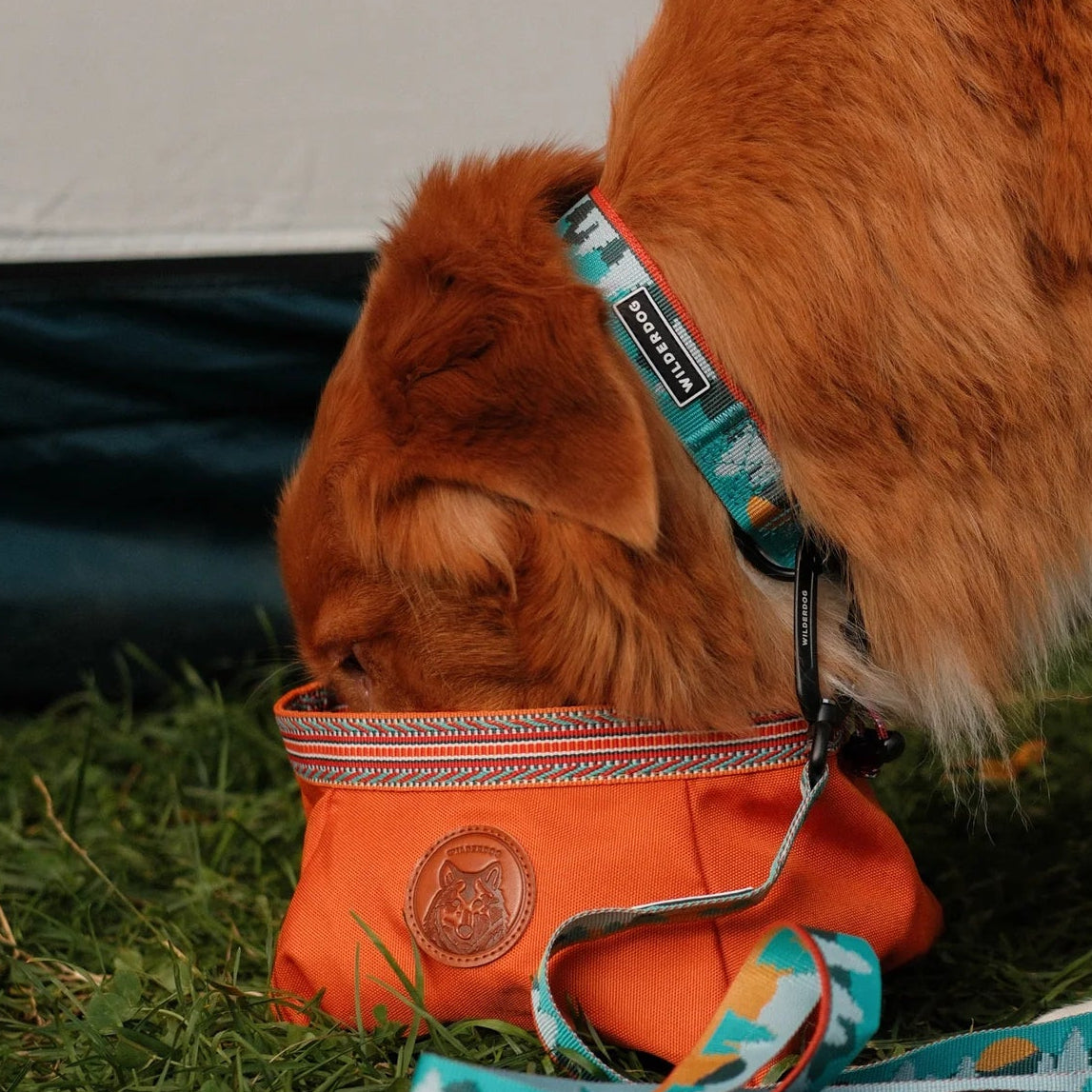 Wilderdog Ultralight Halsband