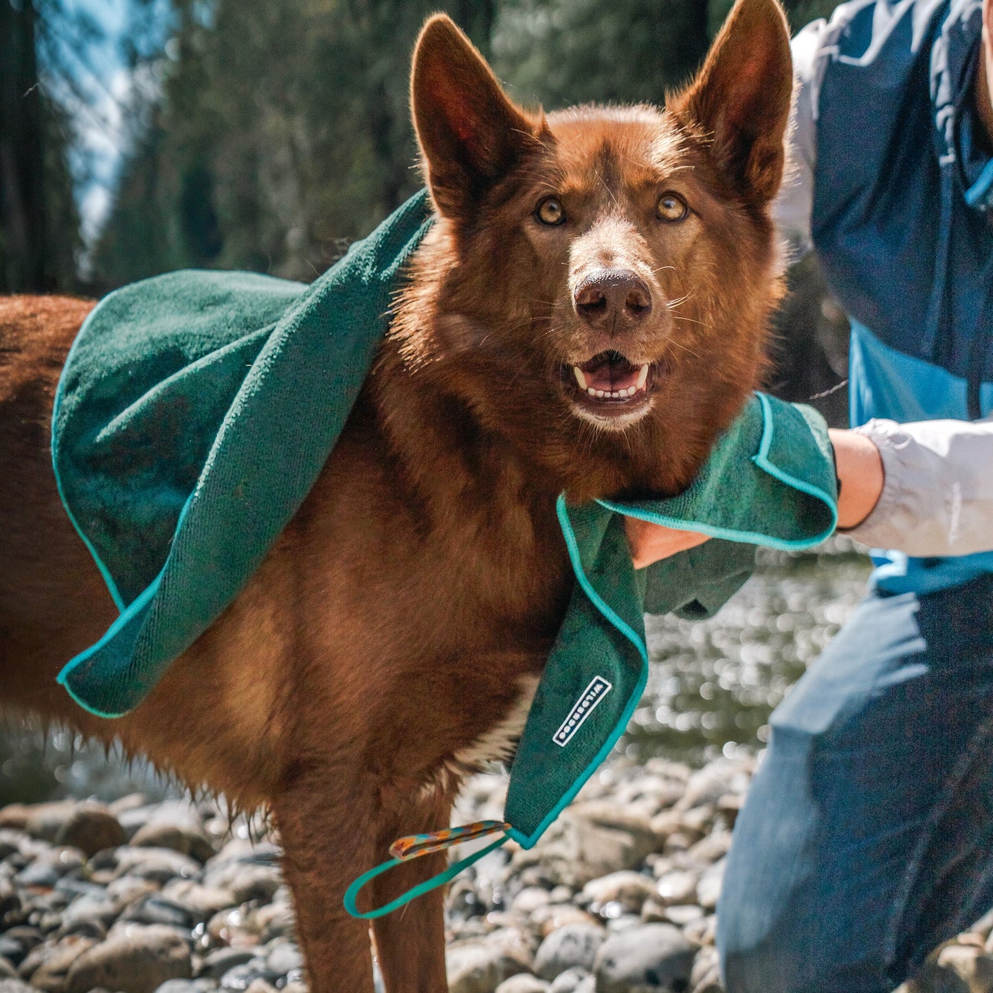 Wilderdog Quick dry Handdoek