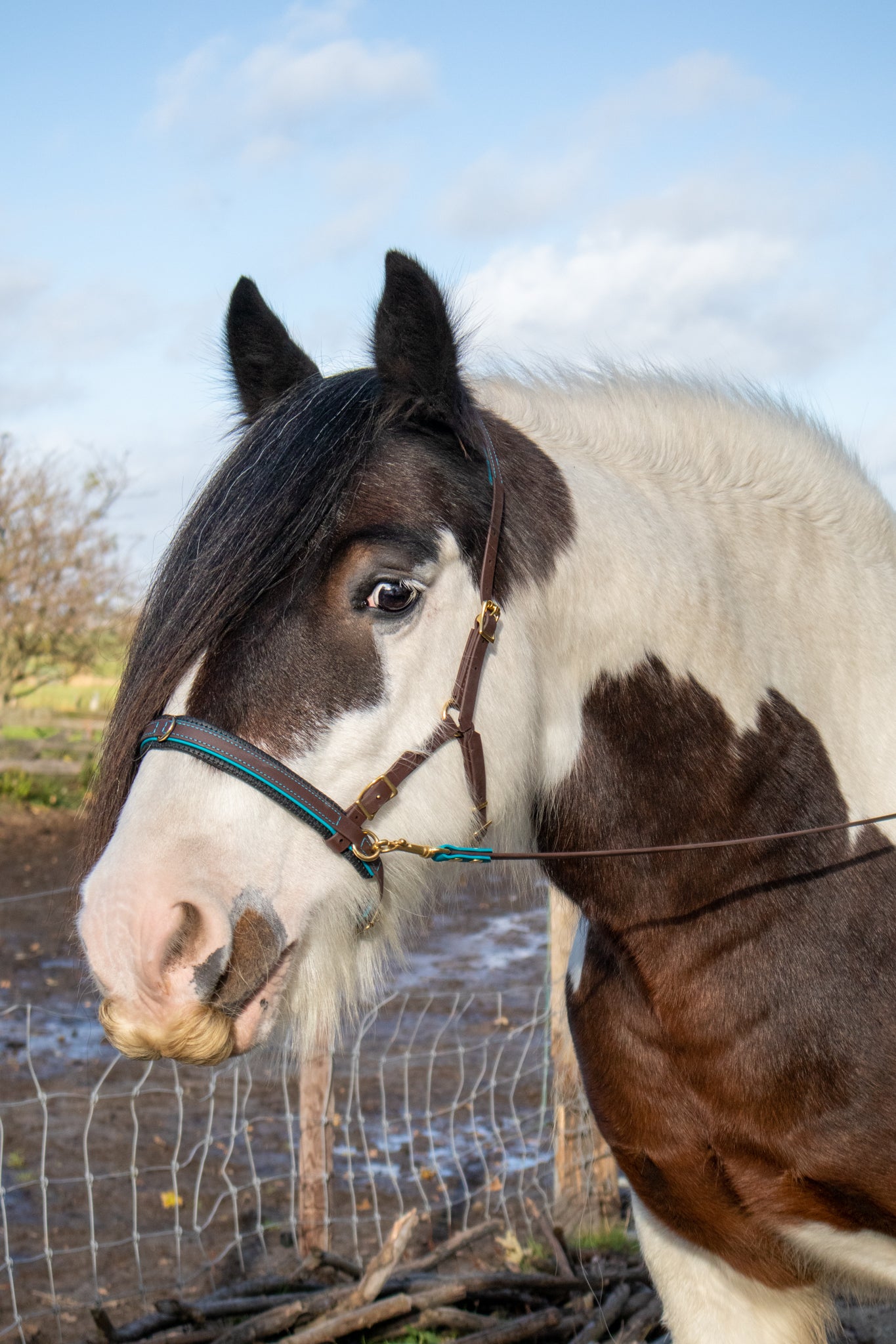 Lange teugels Biothane PRO