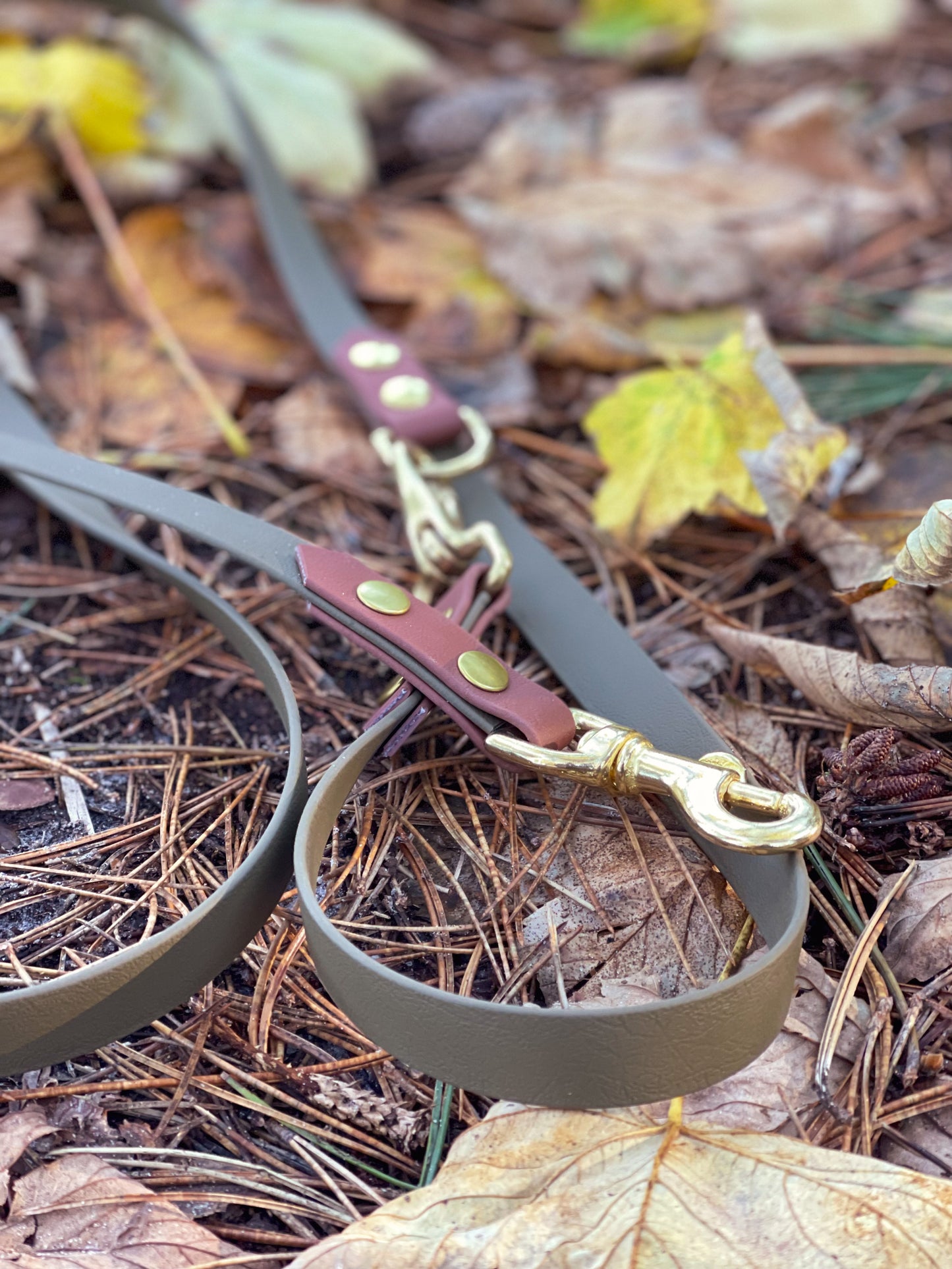 Biothane "Hands Free" Multilijn 19mm