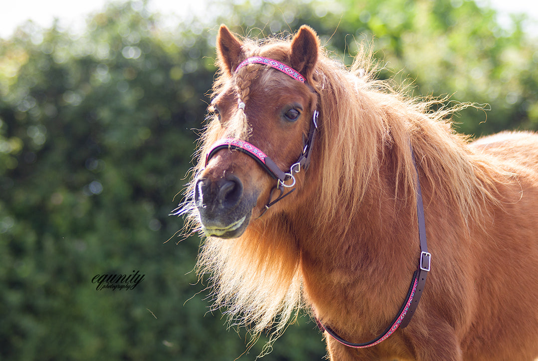 Balansteugel Biothane "Ribbon"