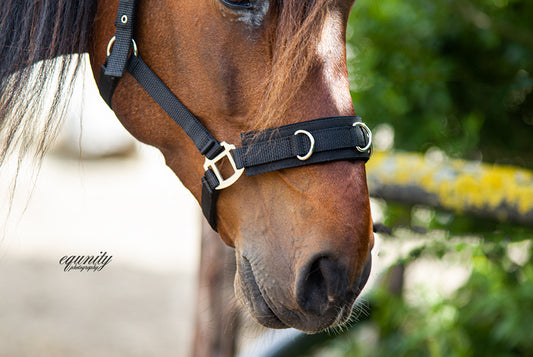 Nylon longeerhalster