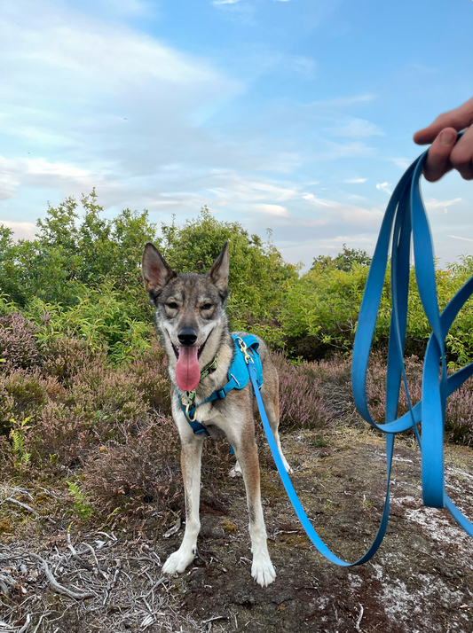 Biothane Field Line 19mm