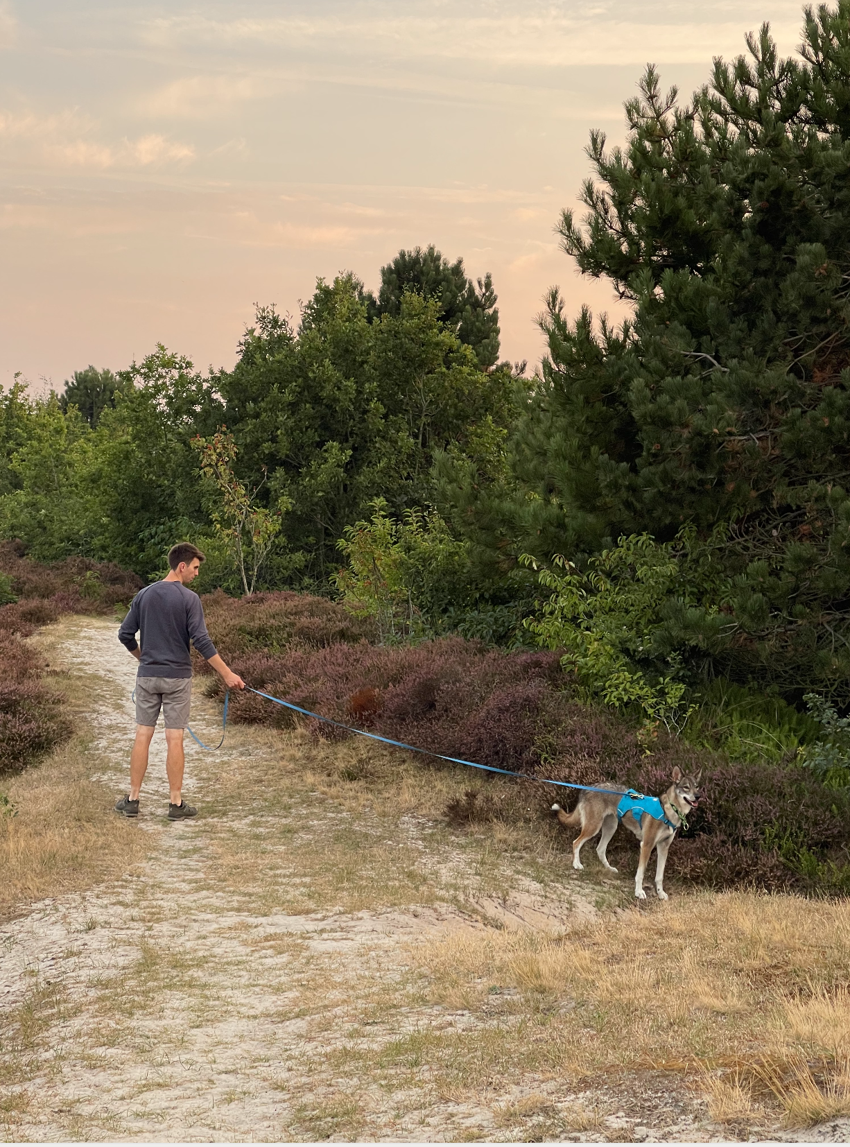 Biothane Field Line 19mm