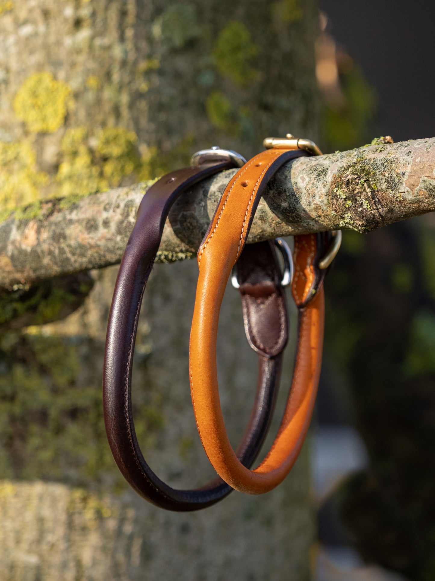 Halsband Rondgenaaid