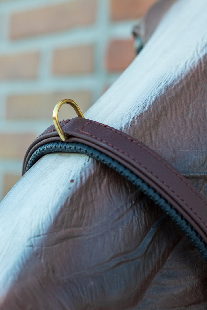 Biothane® Captoom "Two Tone"