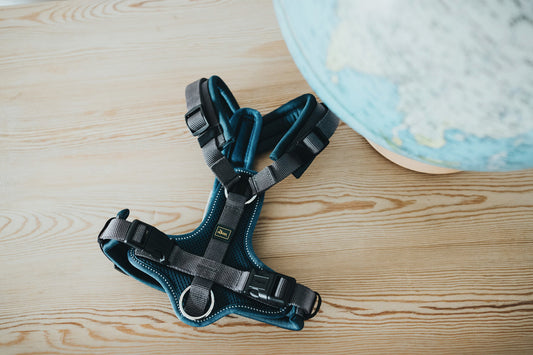 Hunter Y-Harnas Maldon