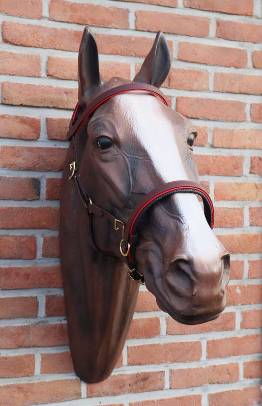 Biothane® Sidepull "Two Tone"