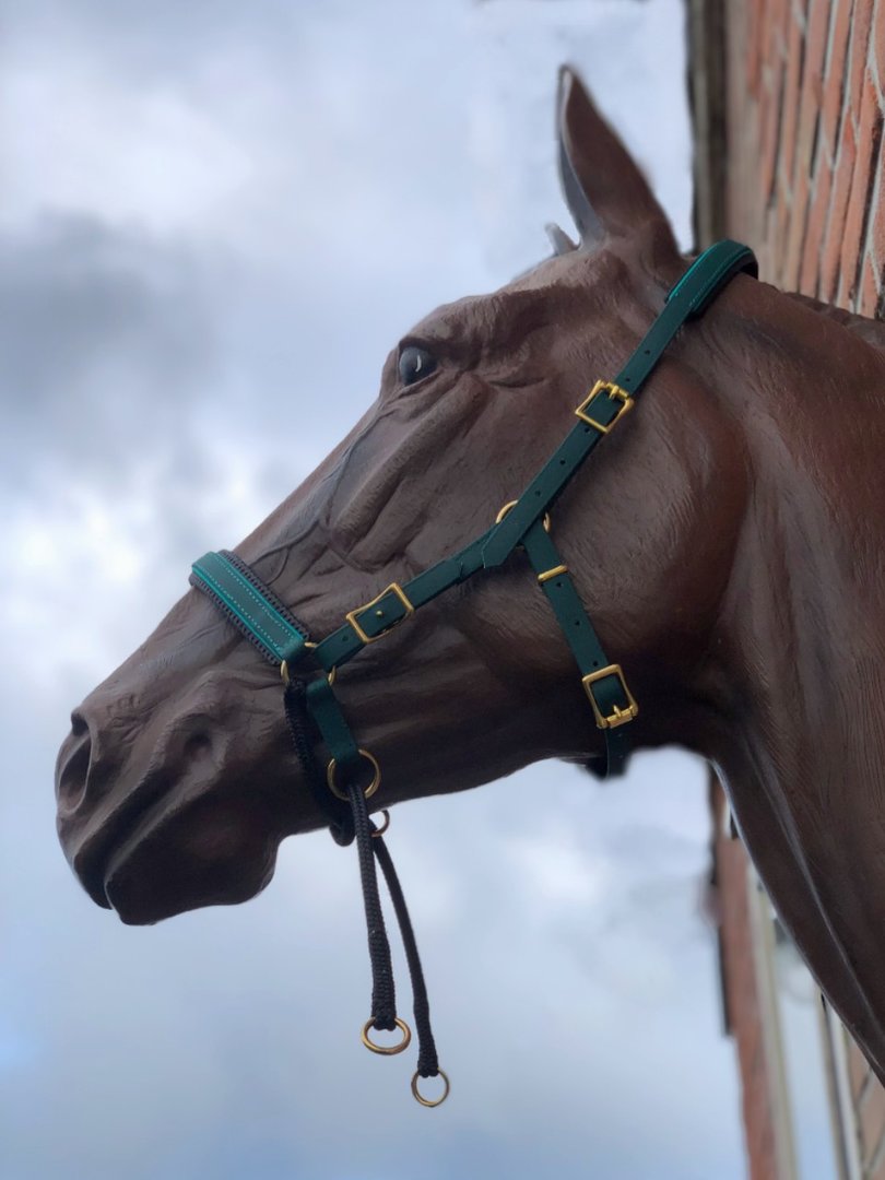 Biothane® Kingekruist "Two Tone"