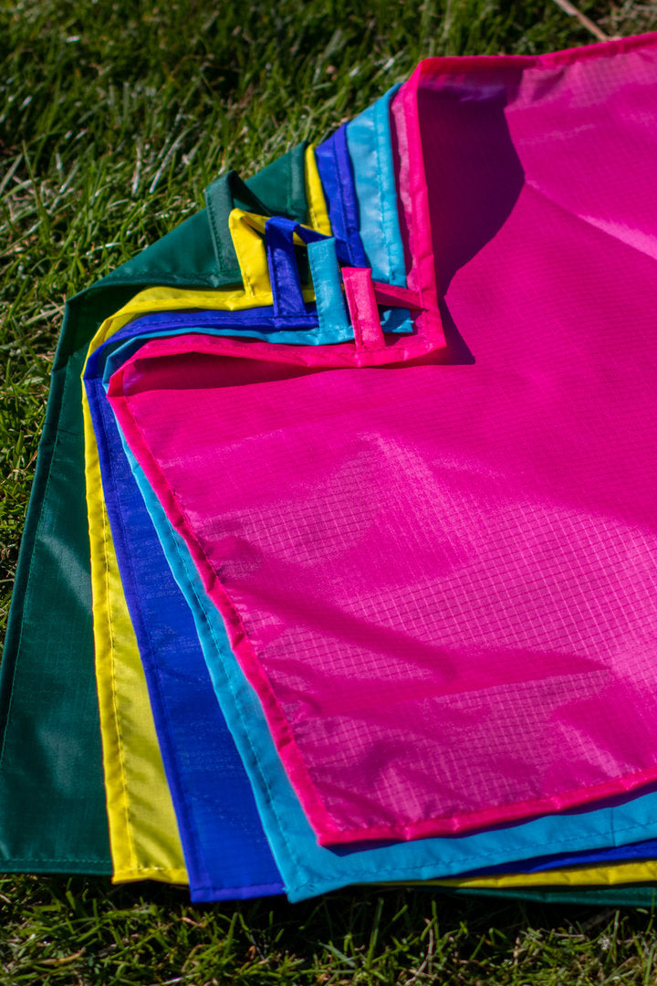 Horsemanship Flag Pro