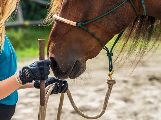 Kies de perfecte leadrope: Welke leadrope past bij jou?