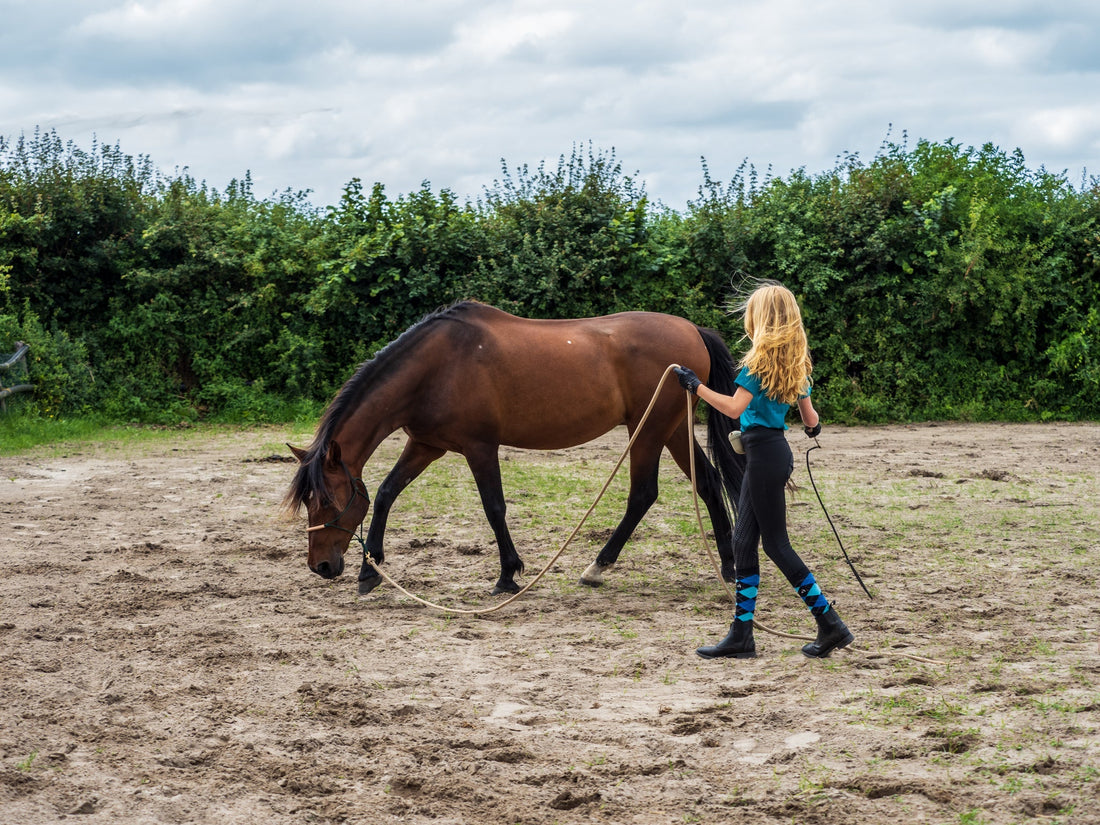 Waarom gebruik je een trainings stick?