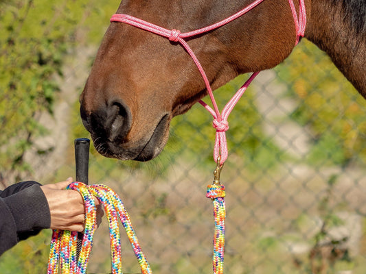 Touwhalsters: waarom het vaak misgaat – en hoe jij dat voorkomt
