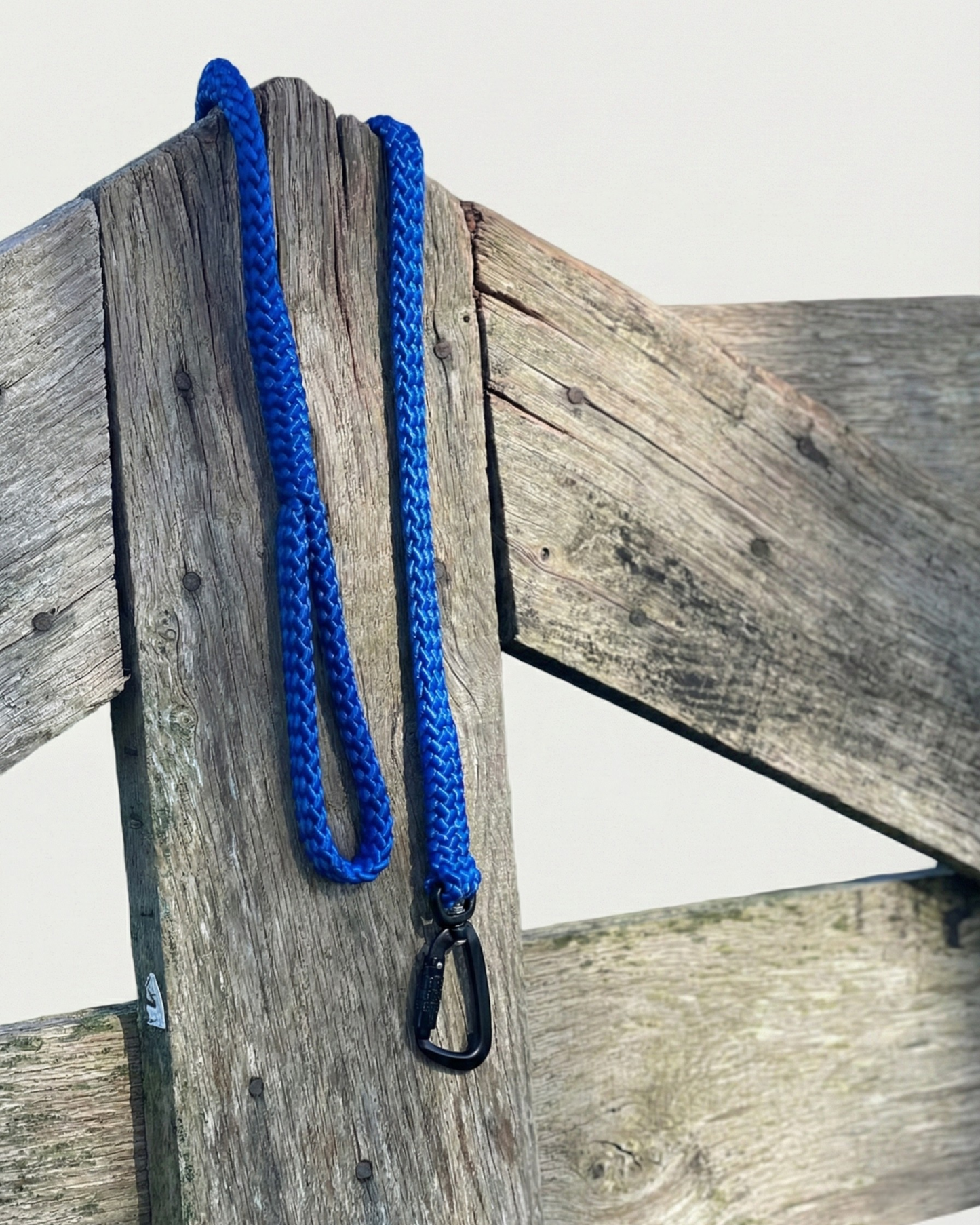 Hondenlijn met musketon breed