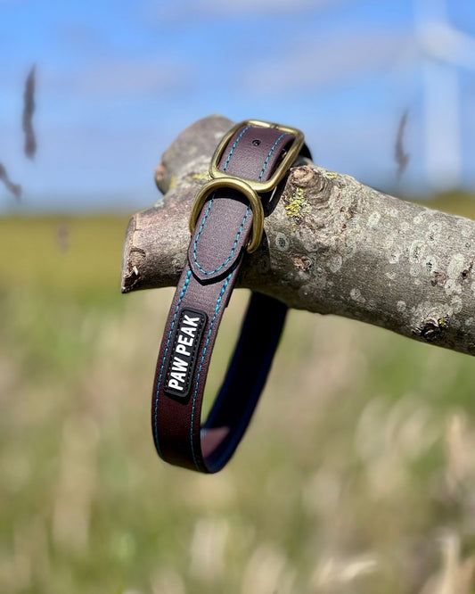 Halsband Biothane 25 mm "Stitch"