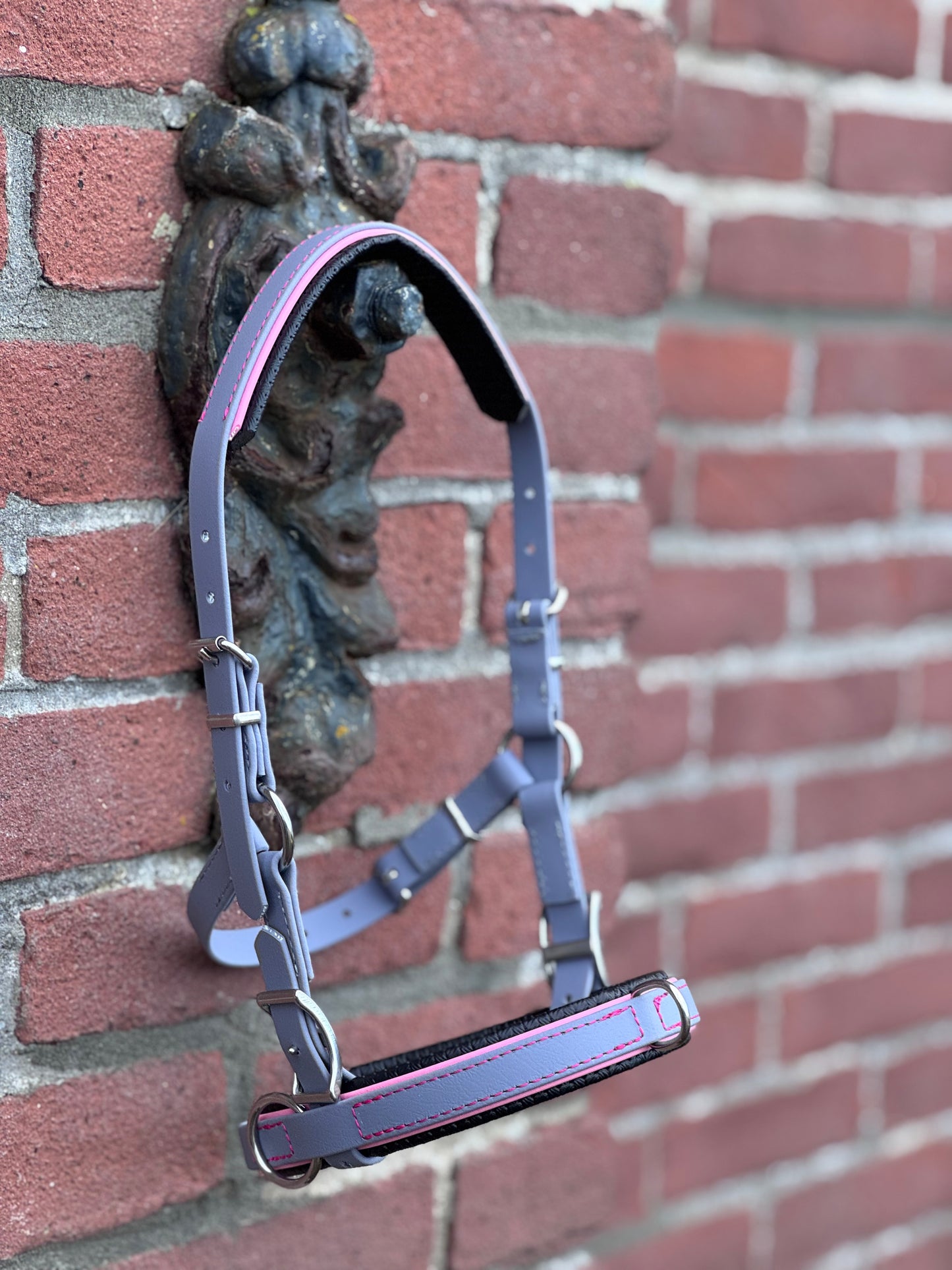 Biothane® Captoom "Two Tone"