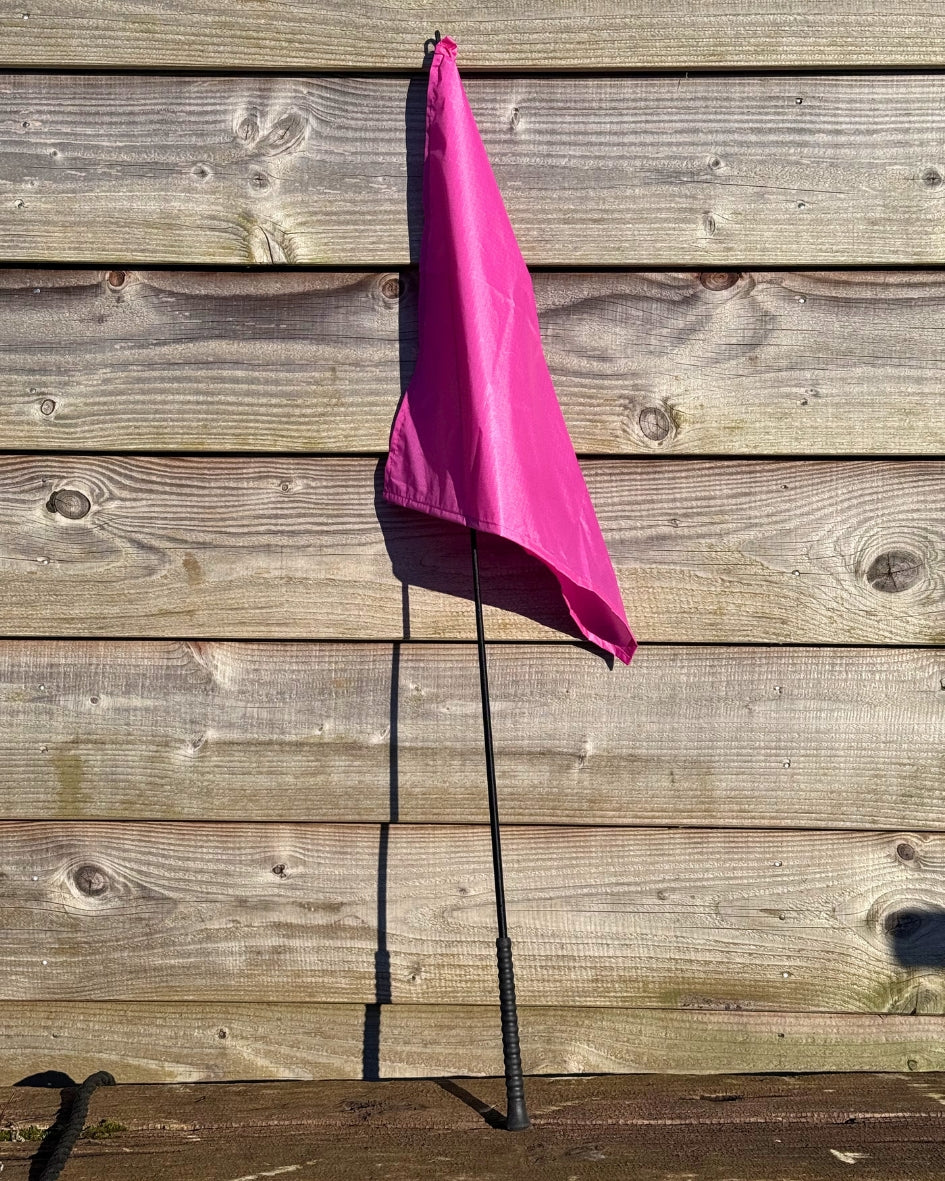 Zweep voor Horsemanship vlag