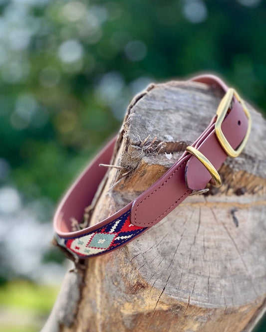 Halsband 25mm Biothane® "ribbon"