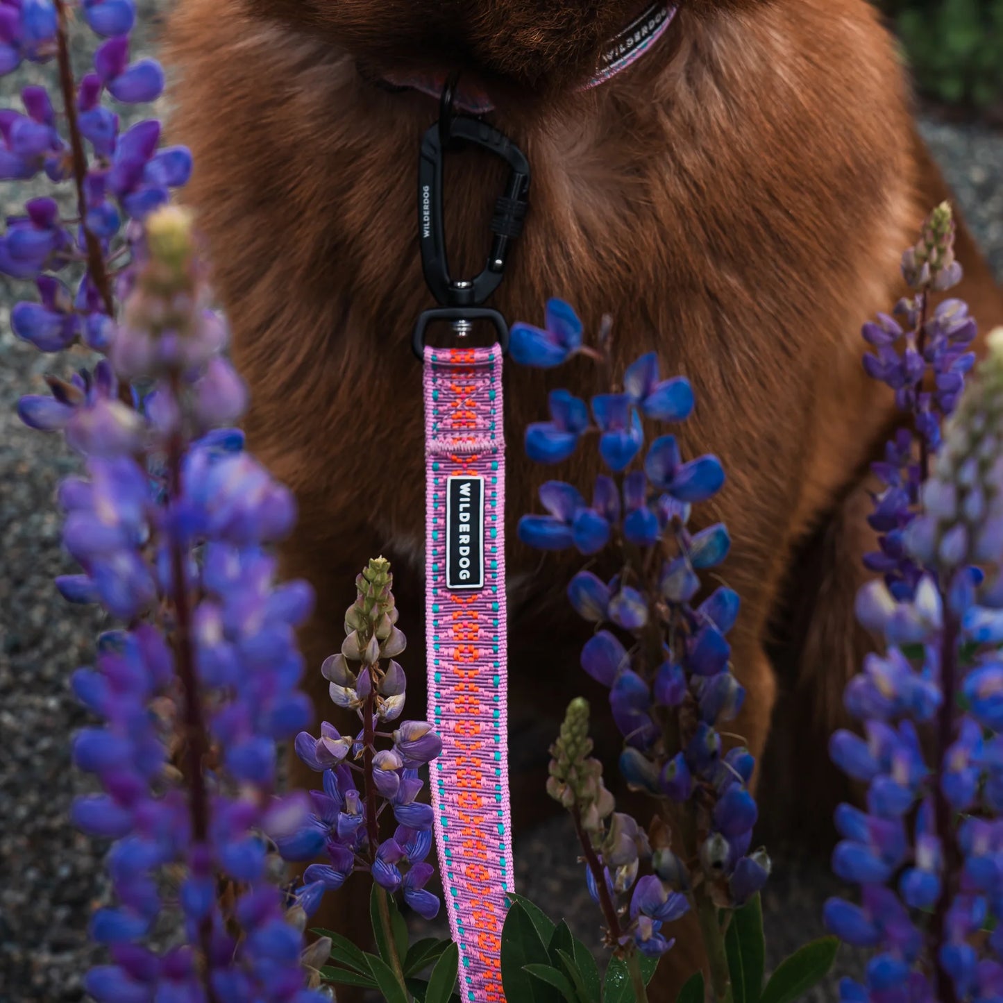 Wilderdog Ultralight Leash
