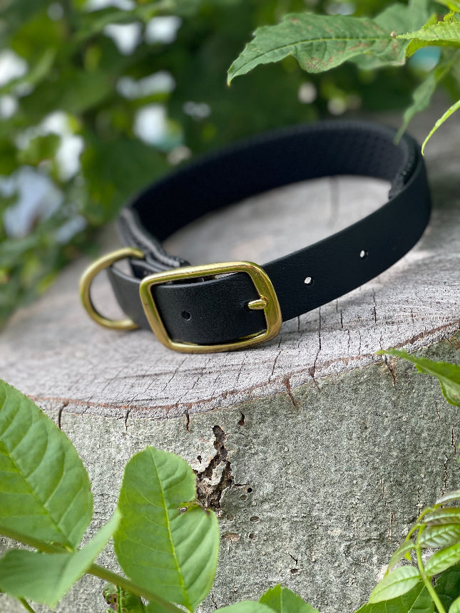 Halsband van 25mm biothane met foam onderlegd