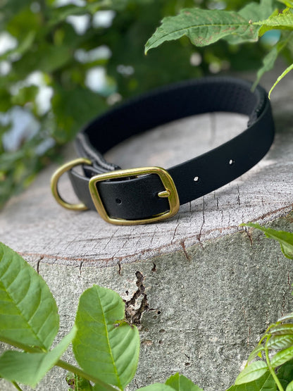 Halsband van 25mm biothane met foam onderlegd