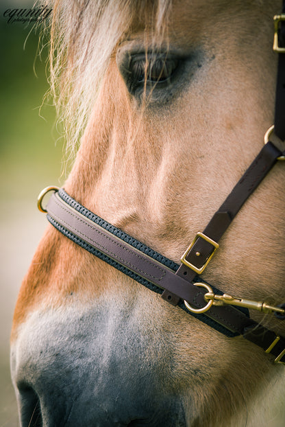 Biothane® Captoom "Two Tone"