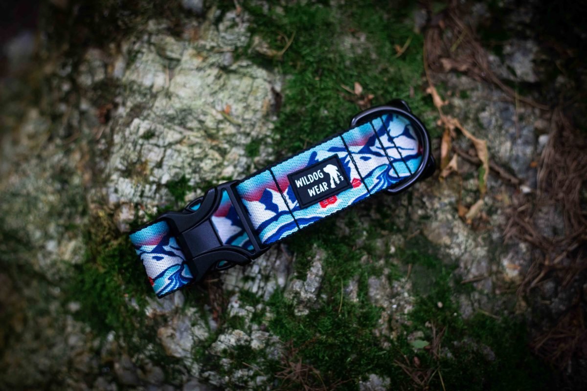 Wildog Wear Adventurous Halsband