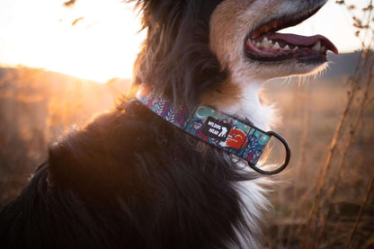 Wildog Wear Adventurous Halsband