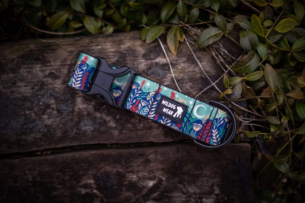 Wildog Wear Adventurous Halsband