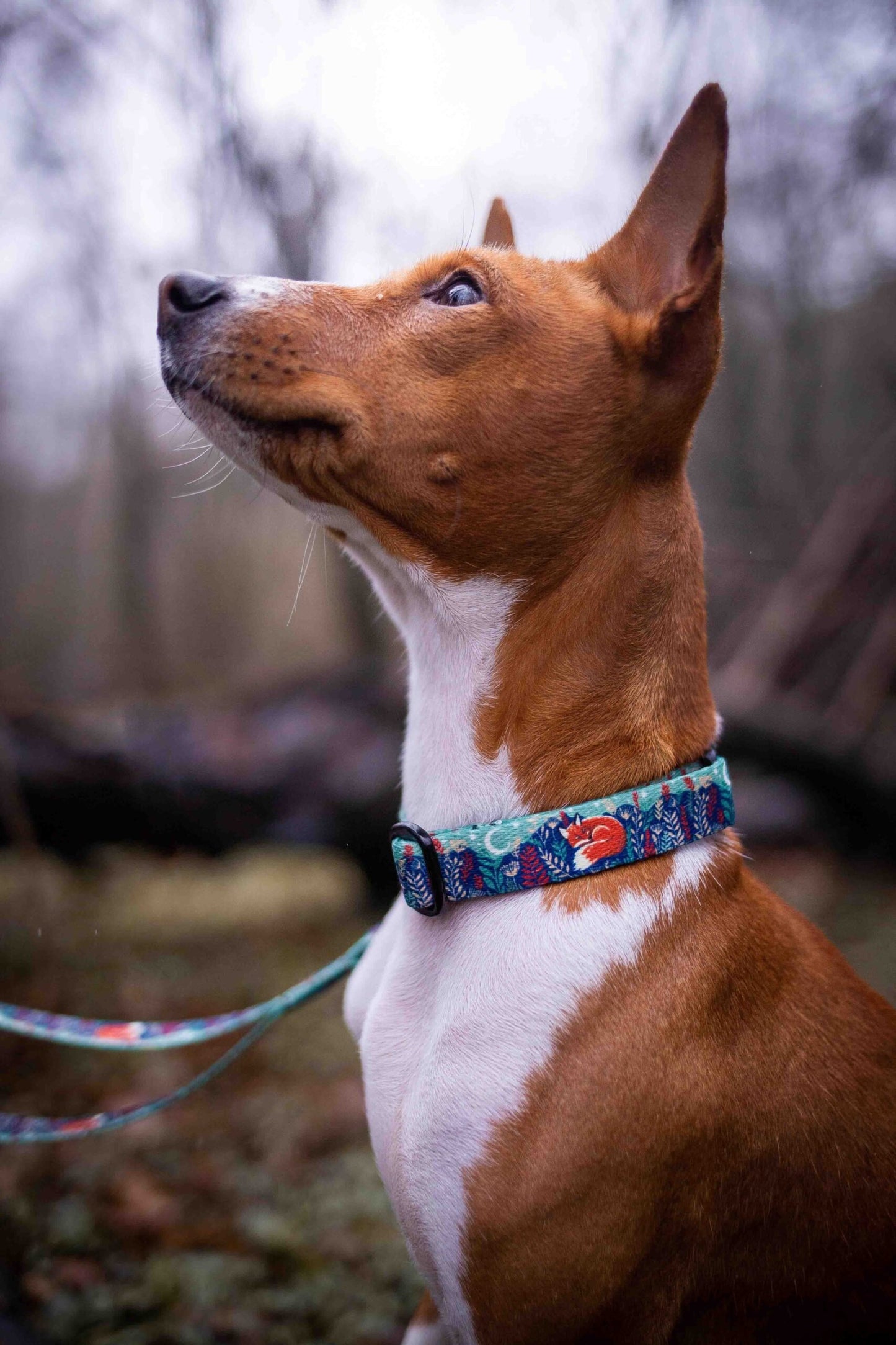 Wildog Wear Adventurous Halsband Mini