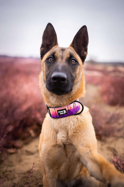 Wildog Wear Adventurous Halsband