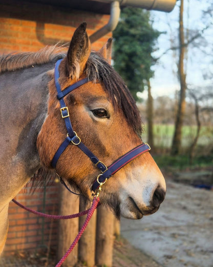 Biothane® Kaptoom Keevan 19mm