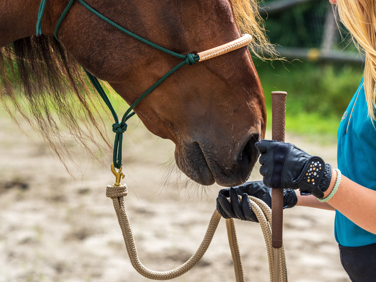 LoveLance uitrusting in gebruik tijdens het werken met een paard
