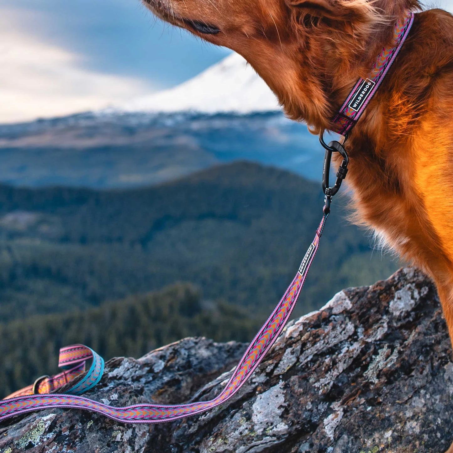 Wilderdog Ultralight Leash