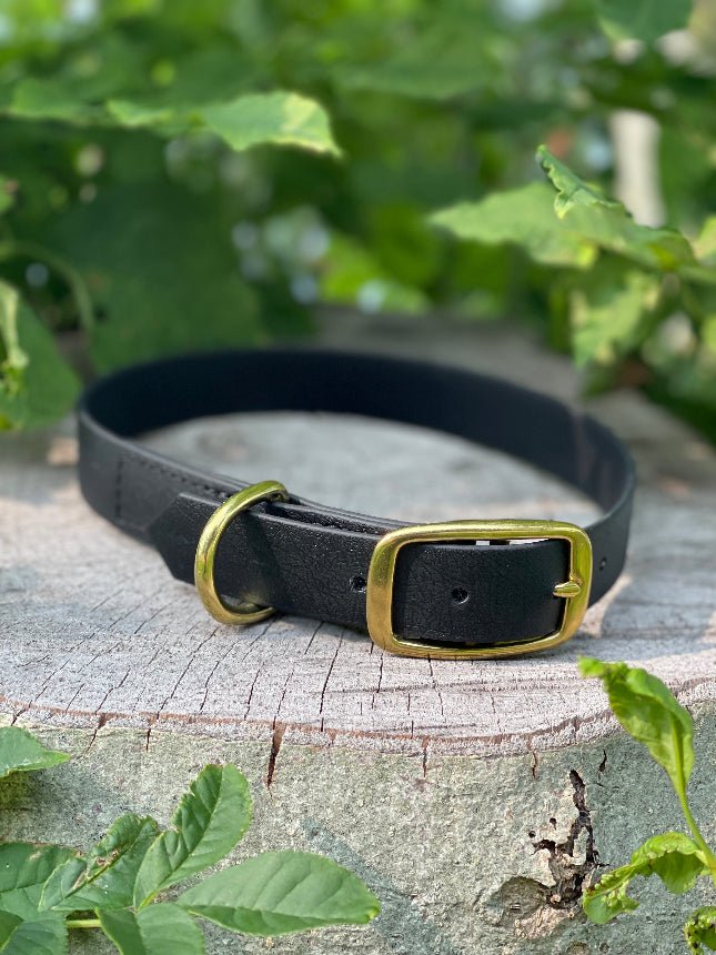 Halsband van Biothane in 25mm breed 