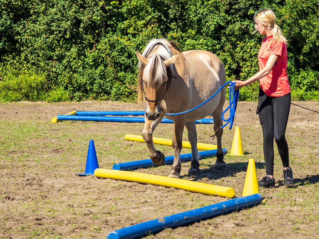 Grondwerk & Training