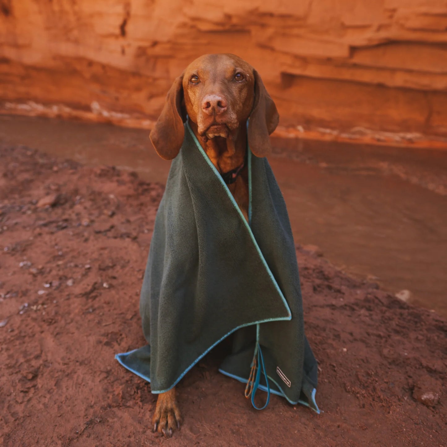 Wilderdog Quick dry Handdoek