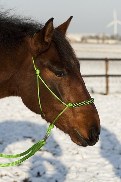 Cross Rope Bridle Luxe