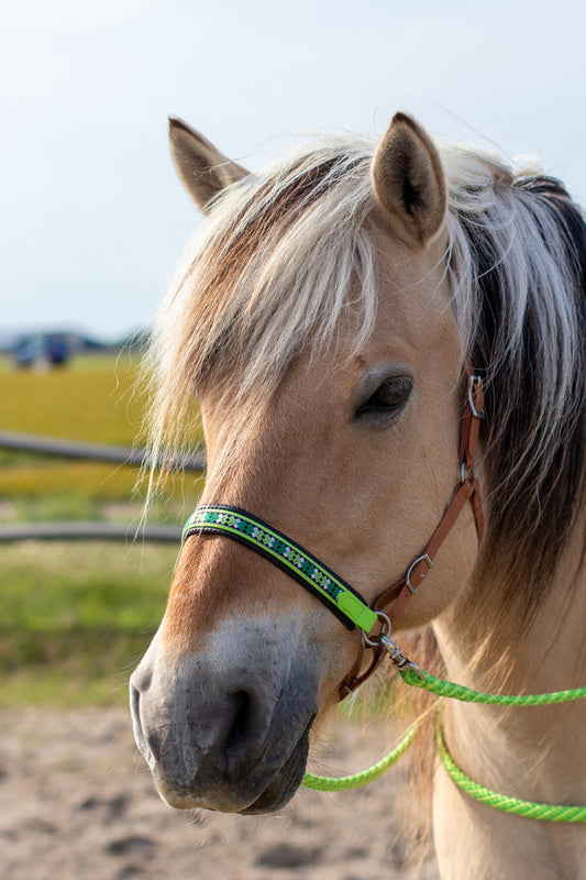 Losse Sidepull neusriem van Biothane