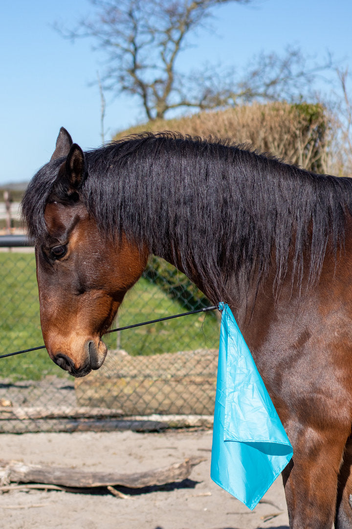 Horsemanship flag PRO