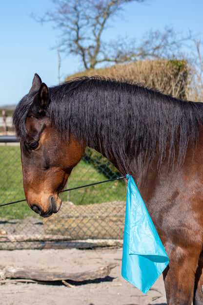 Horsemanship flag PRO
