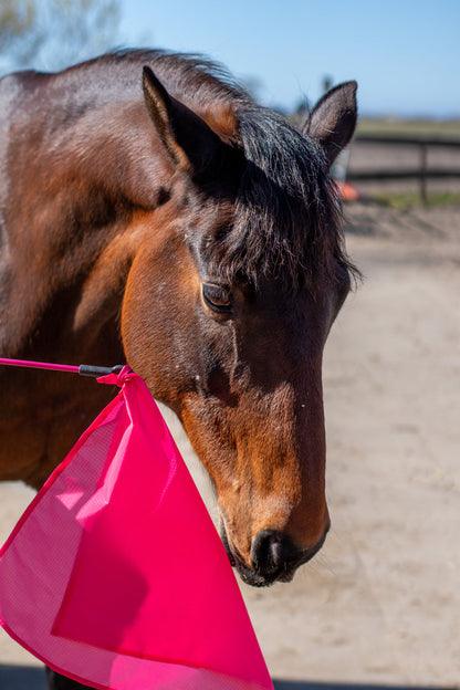 Horsemanship flag PRO