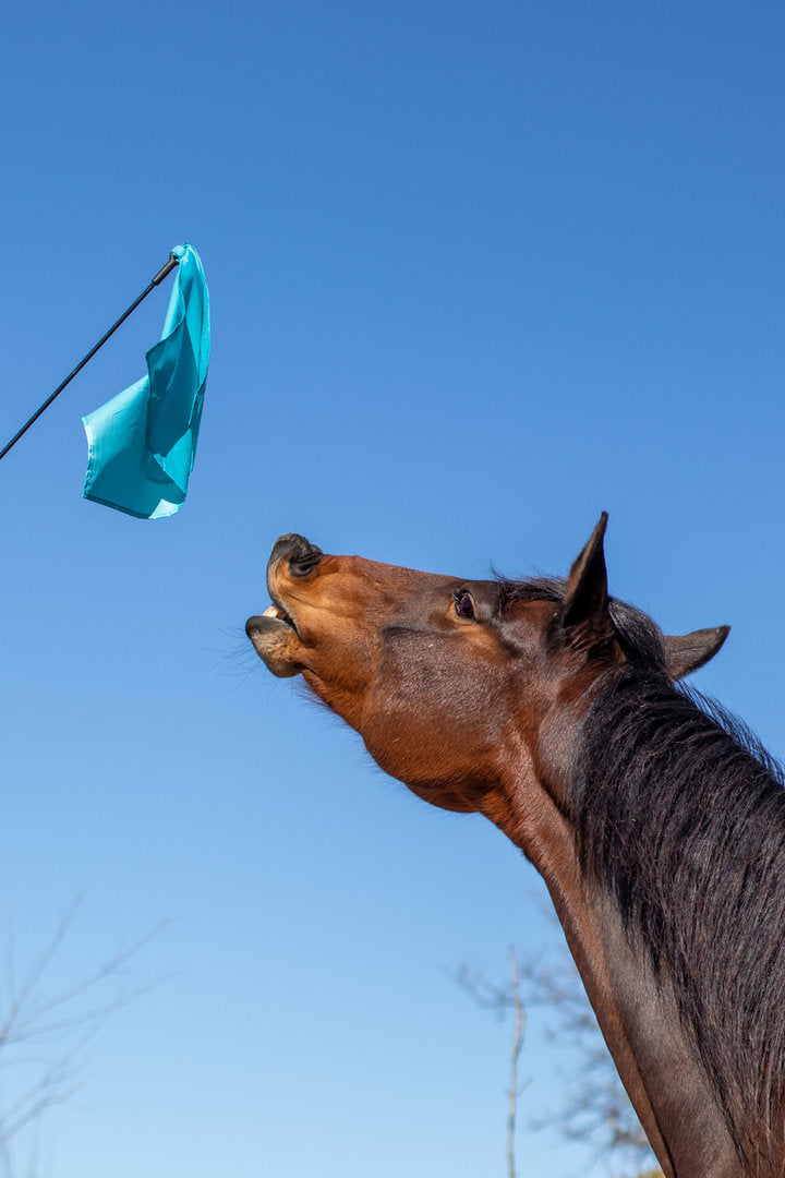 Horsemanship flag PRO